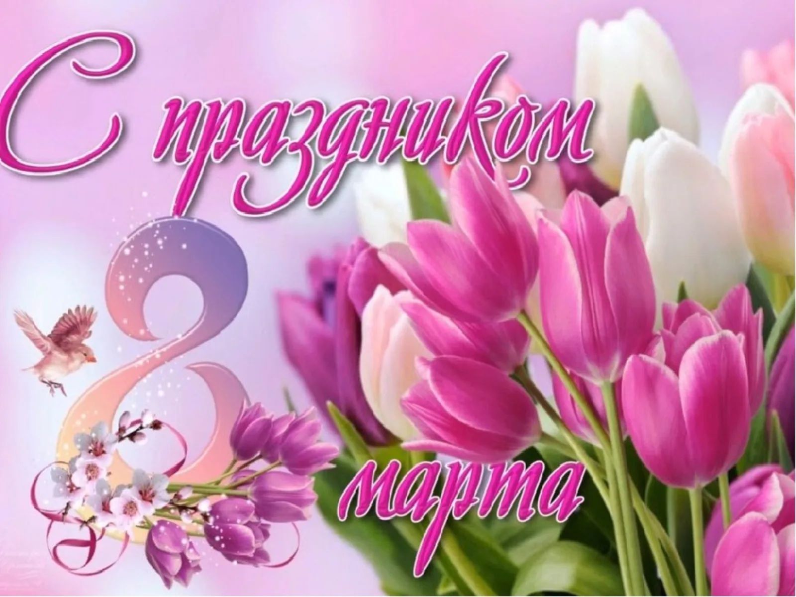 Милые женщины! От имени коллектива Комитета образования администрации города Новокузнецка  и от себя лично поздравляю Вас!